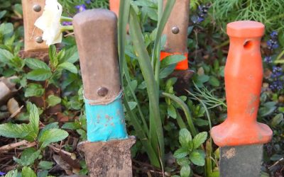 Spring Garden Chores