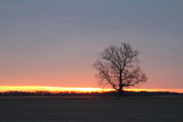 Winter sunrise (640x427)