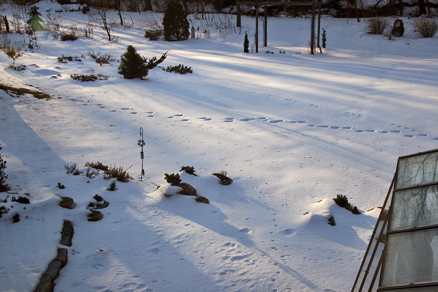 Feb-09 animal tracks resize