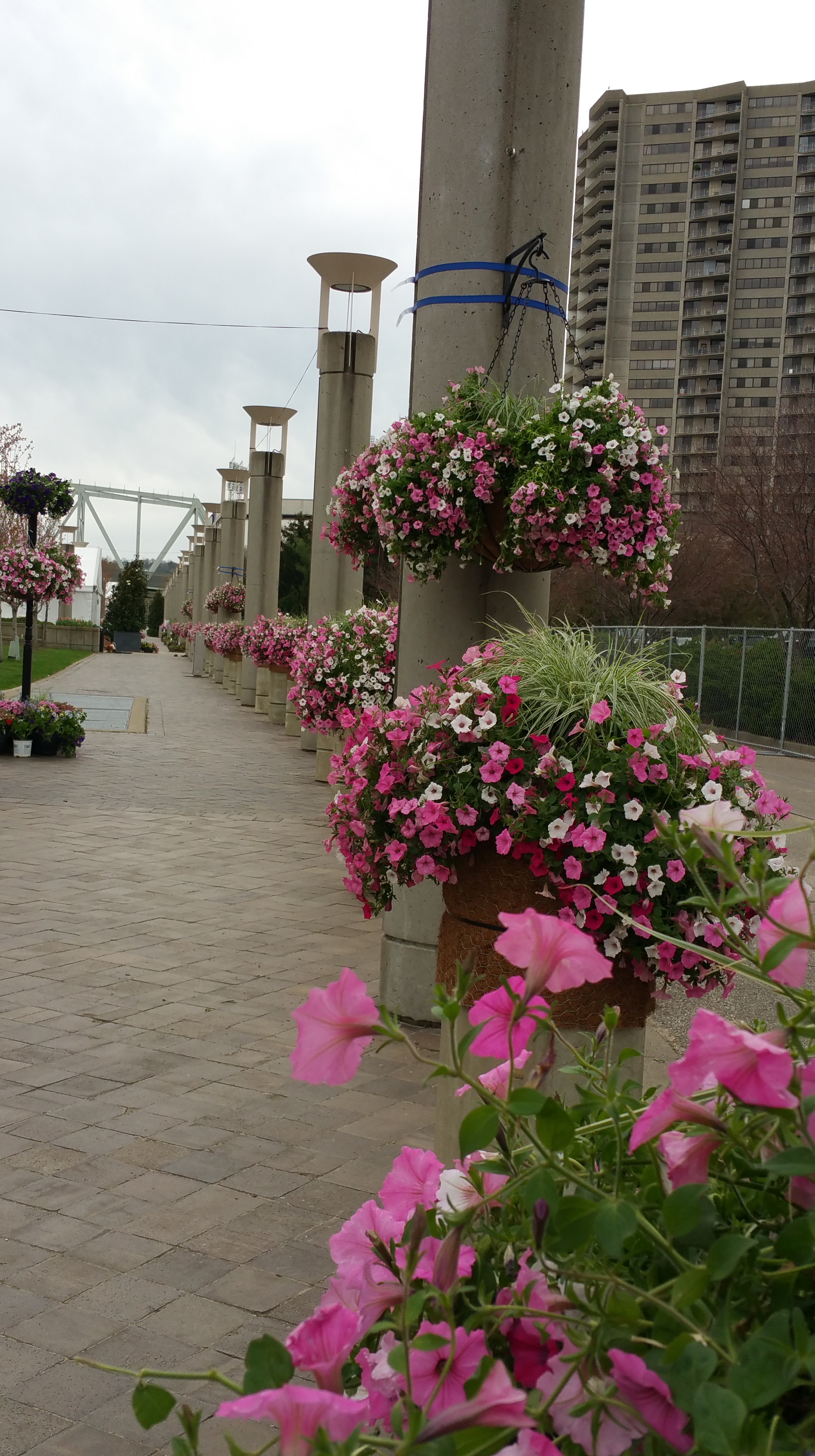 20150414_122535