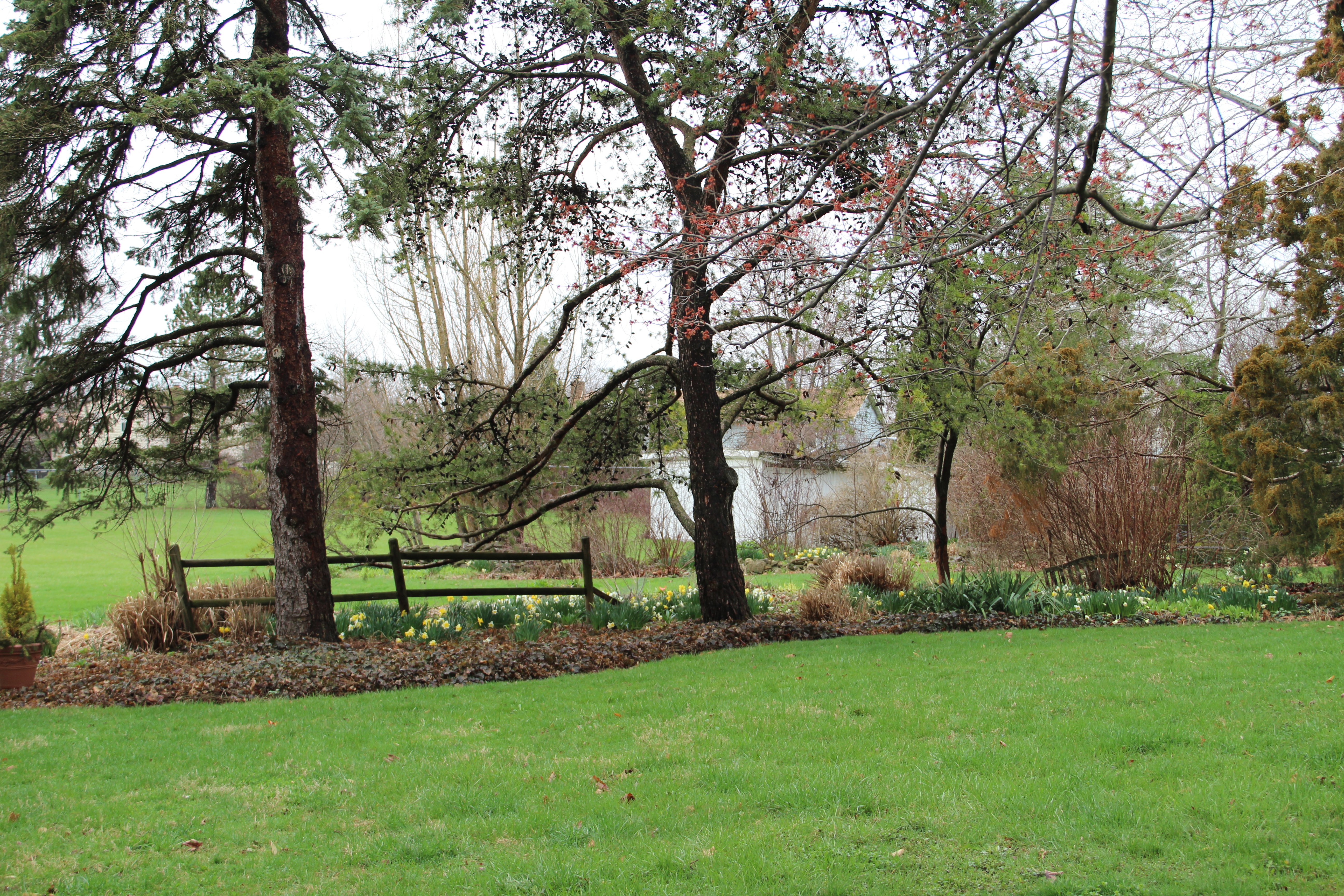 Back edge of property