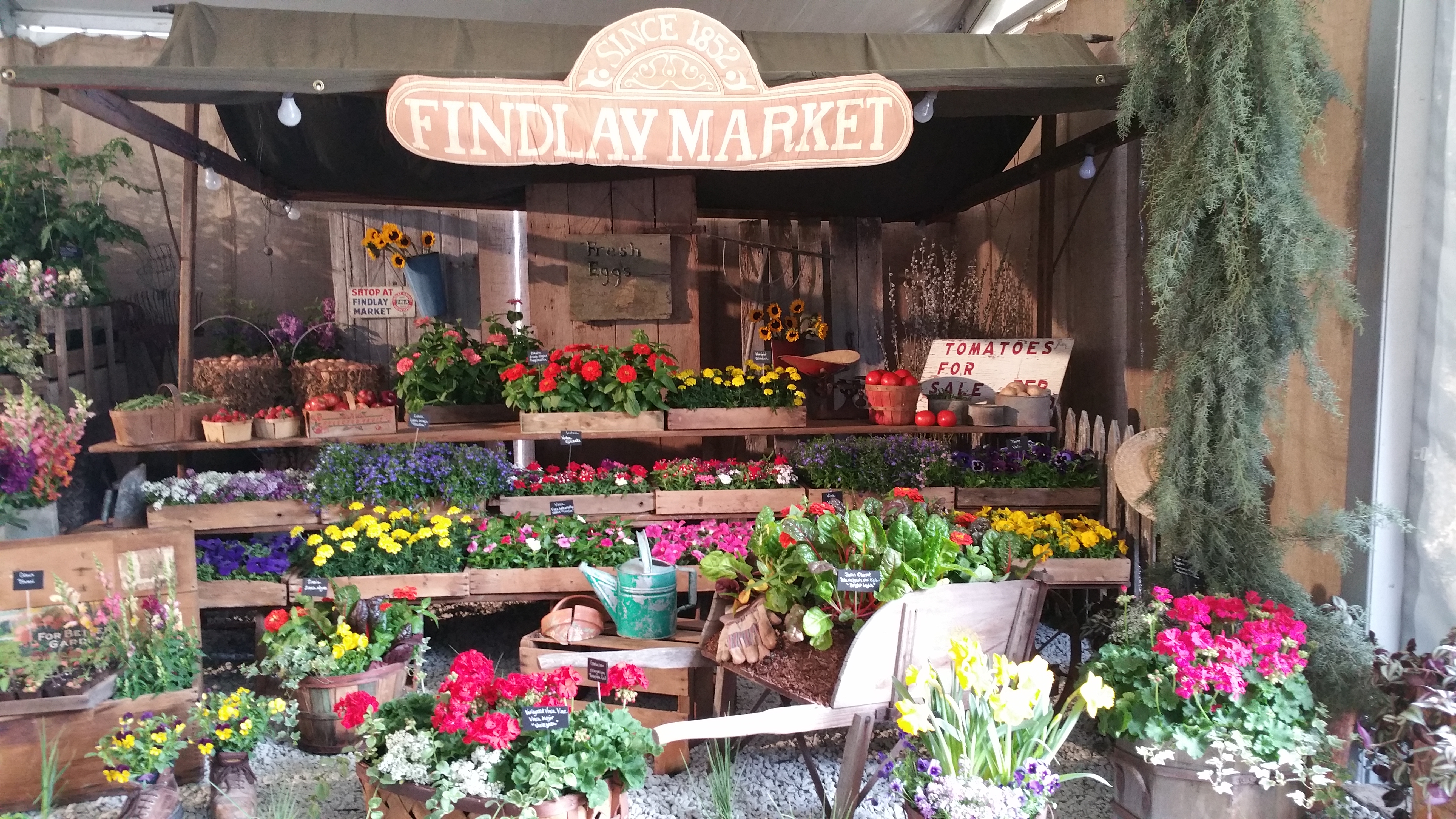 Findlay market