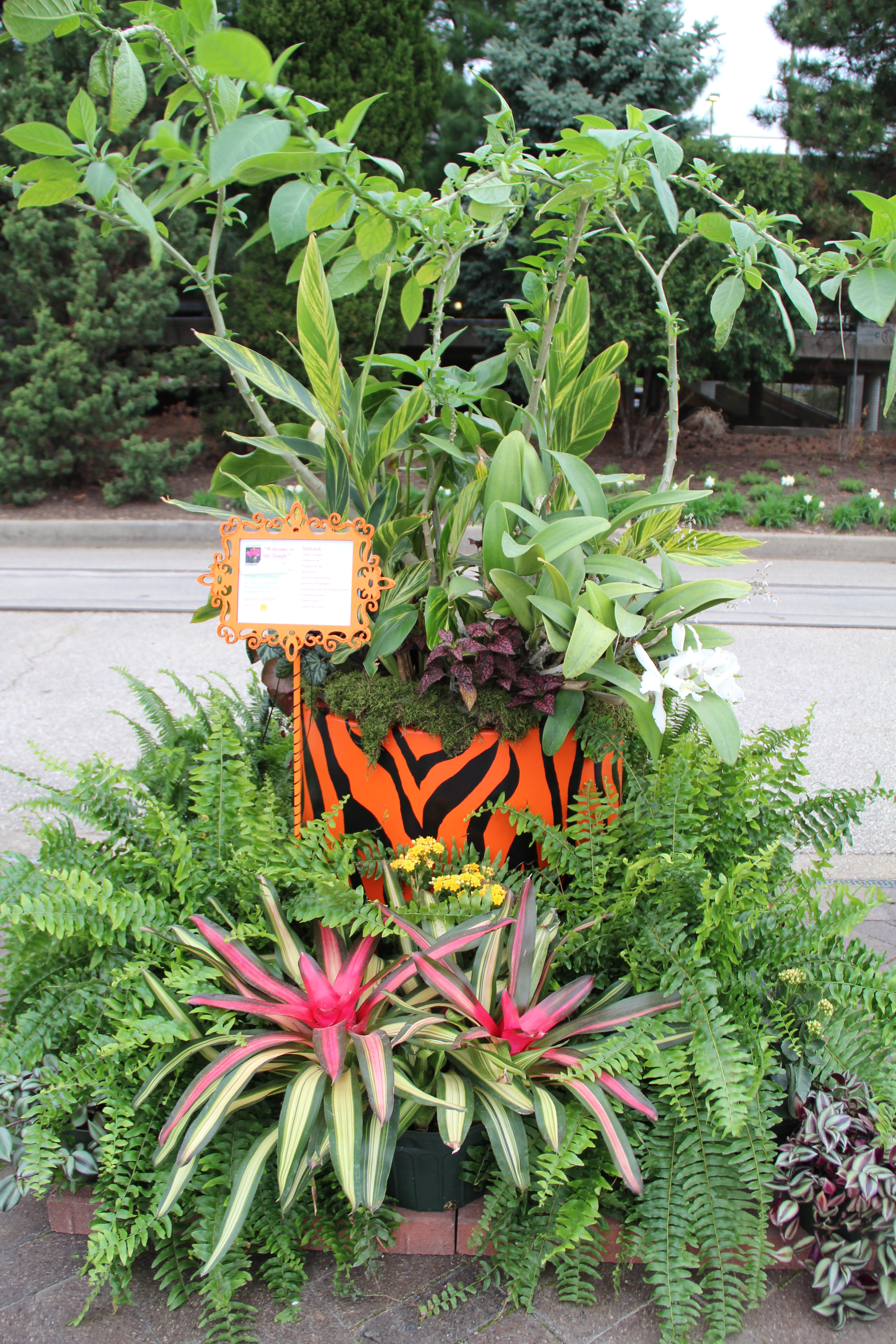 Jungle container