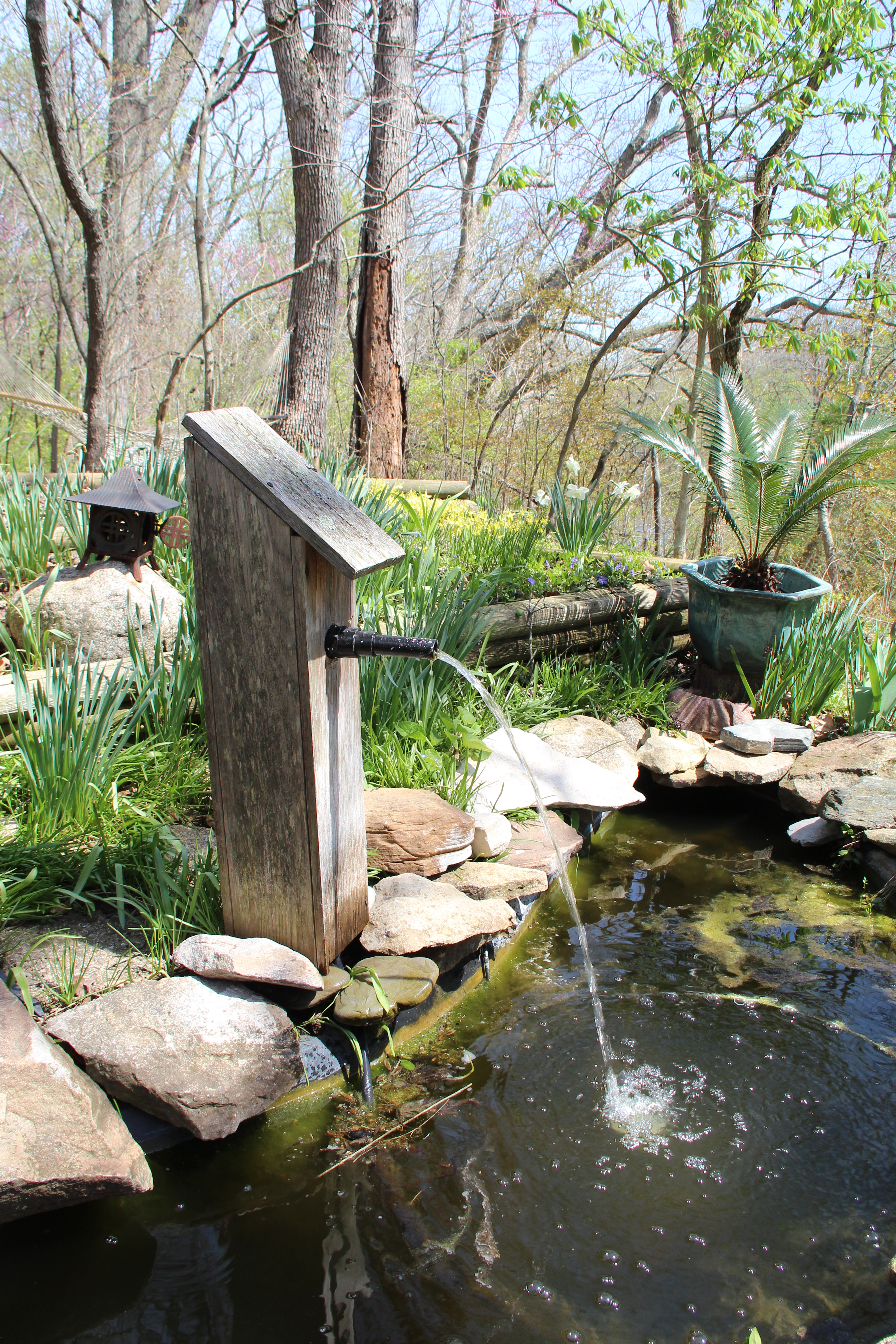 Backyard water feature