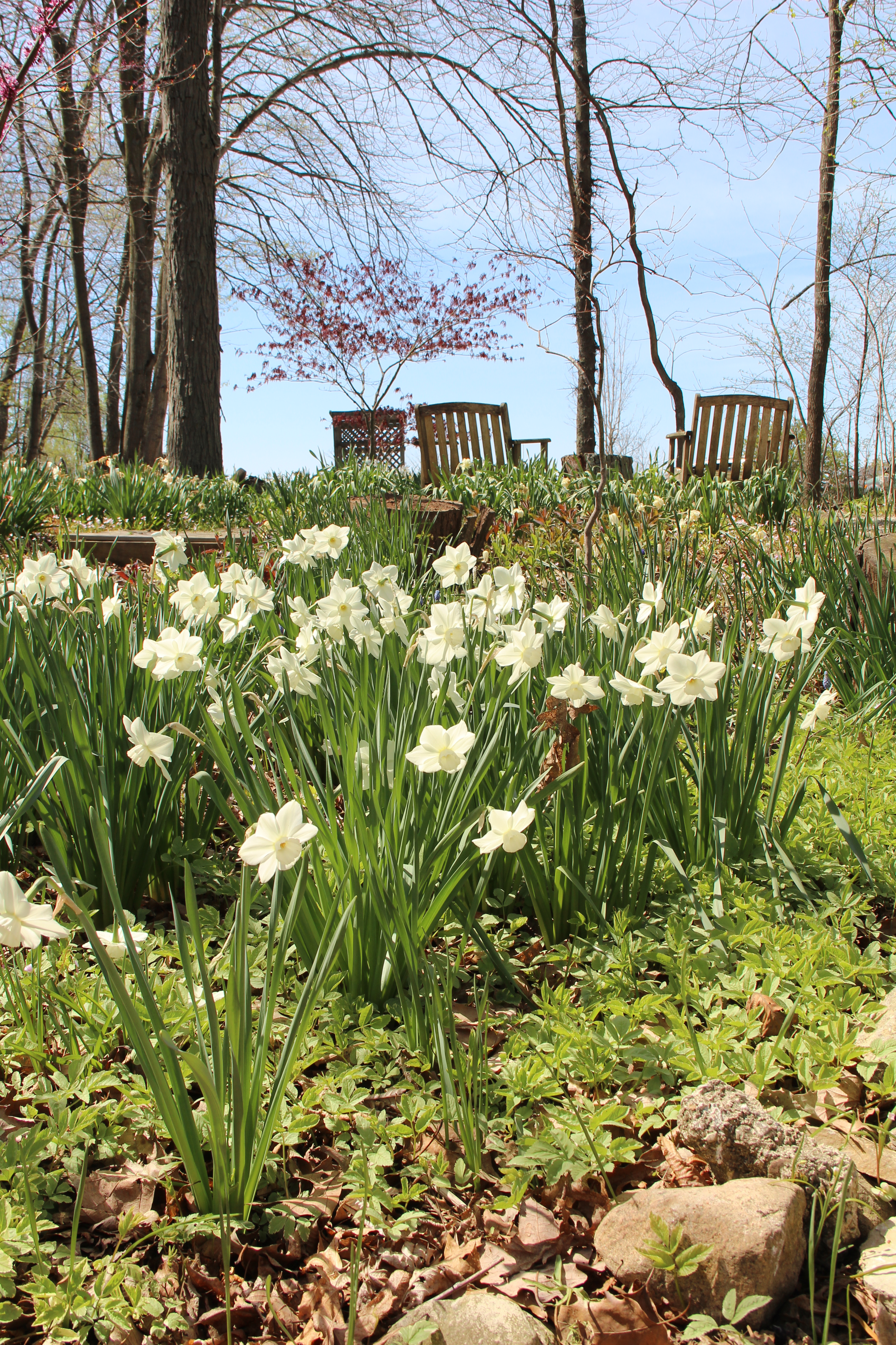 Garden seating area