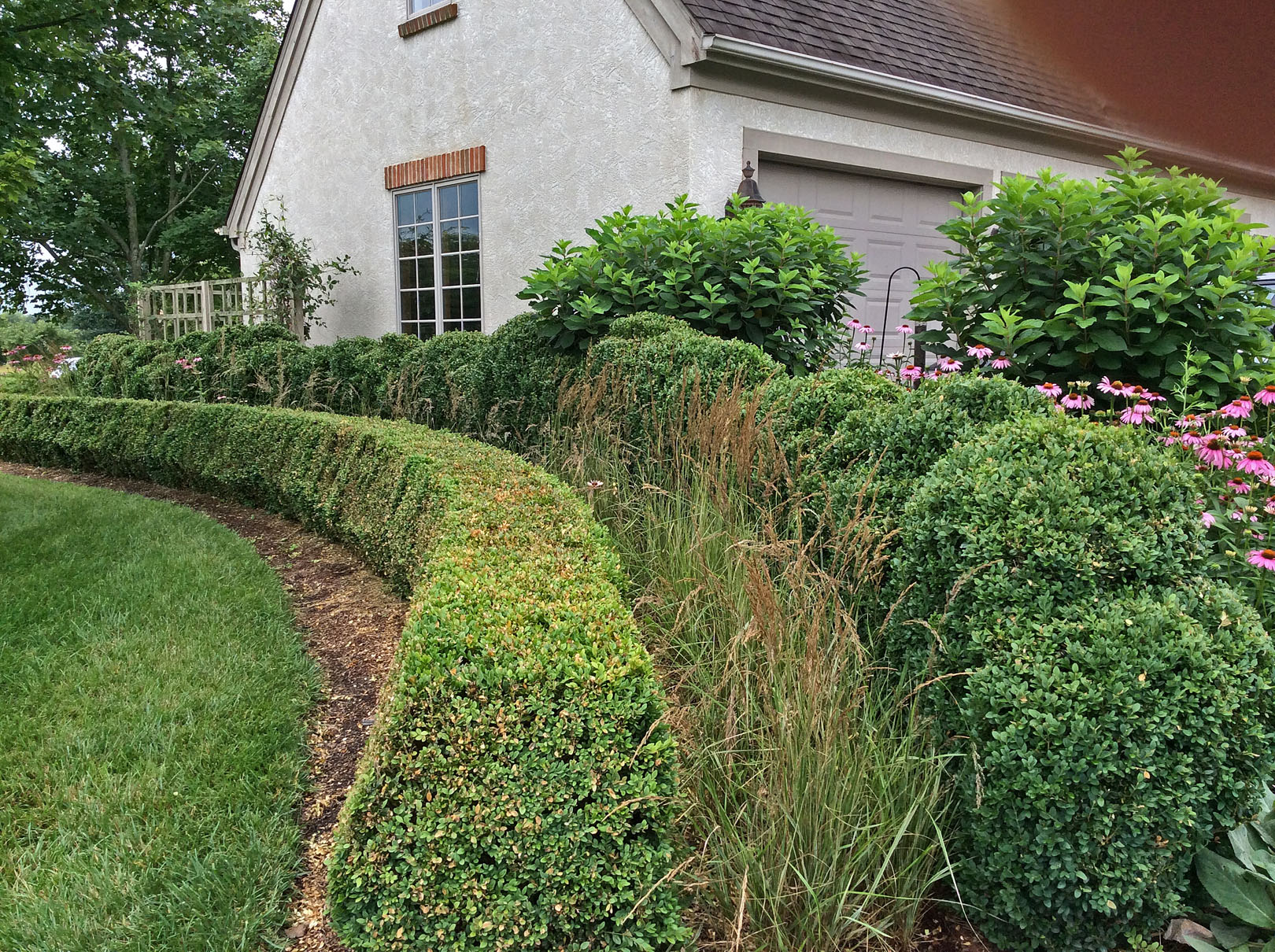 in garden formal 7-9-15