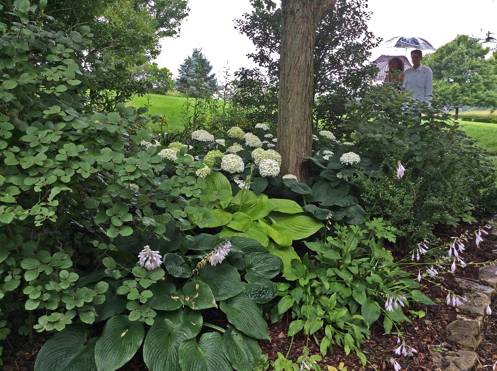in garden T and M 7-9-15 resize