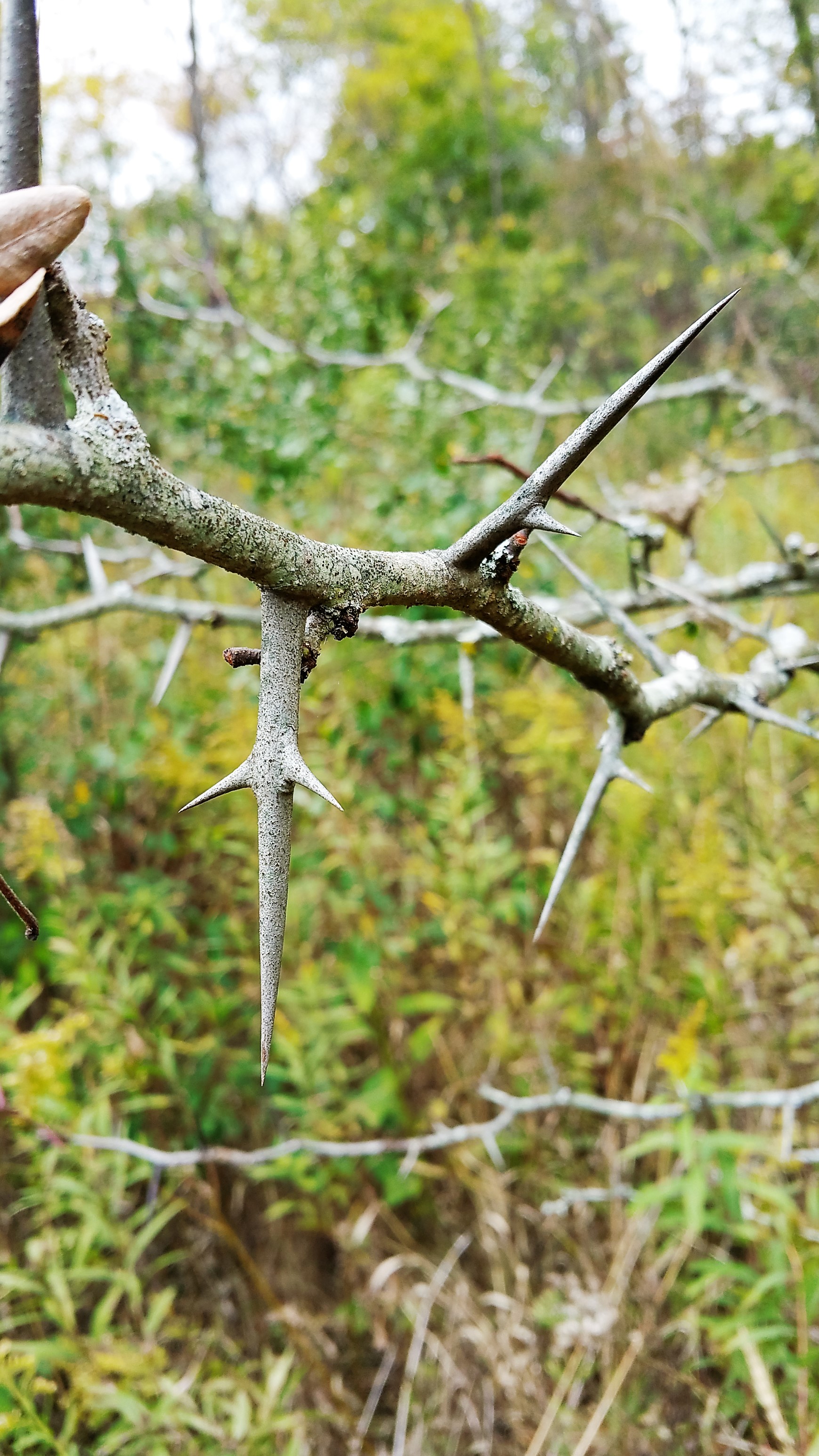 20151013_130054