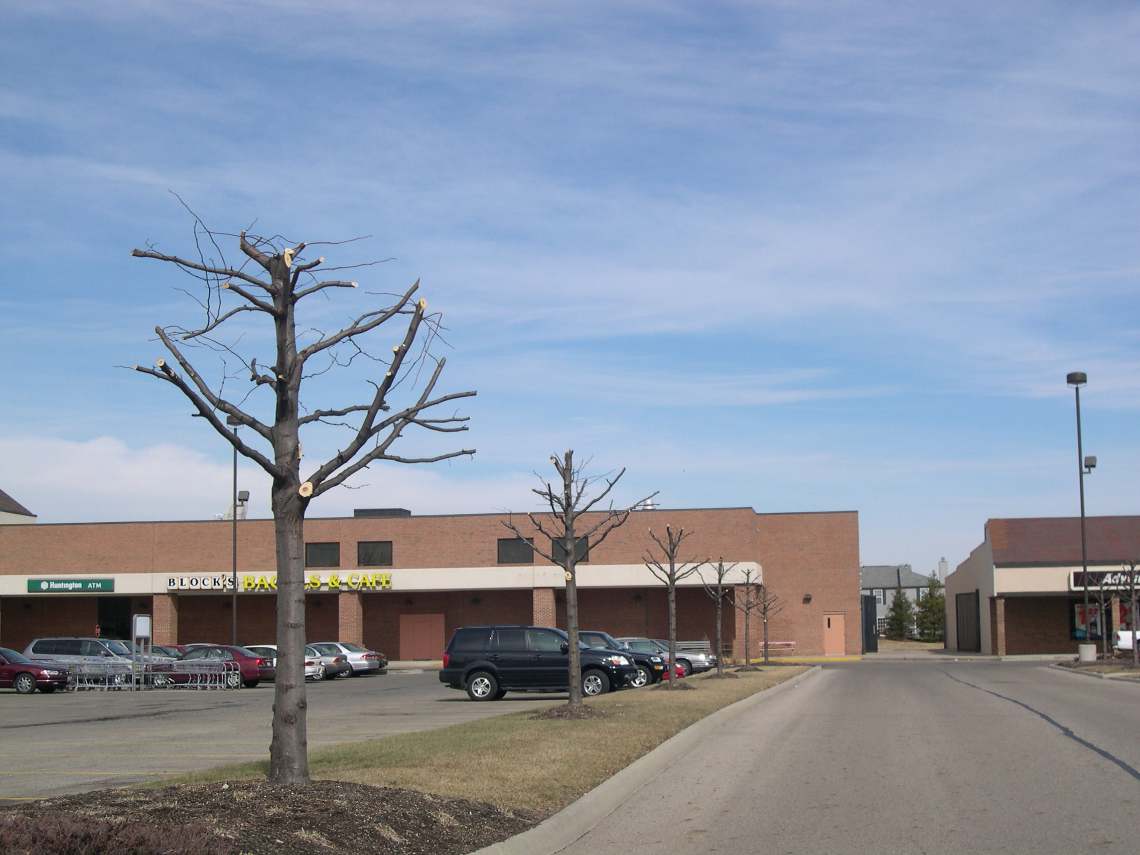 Improper pruning