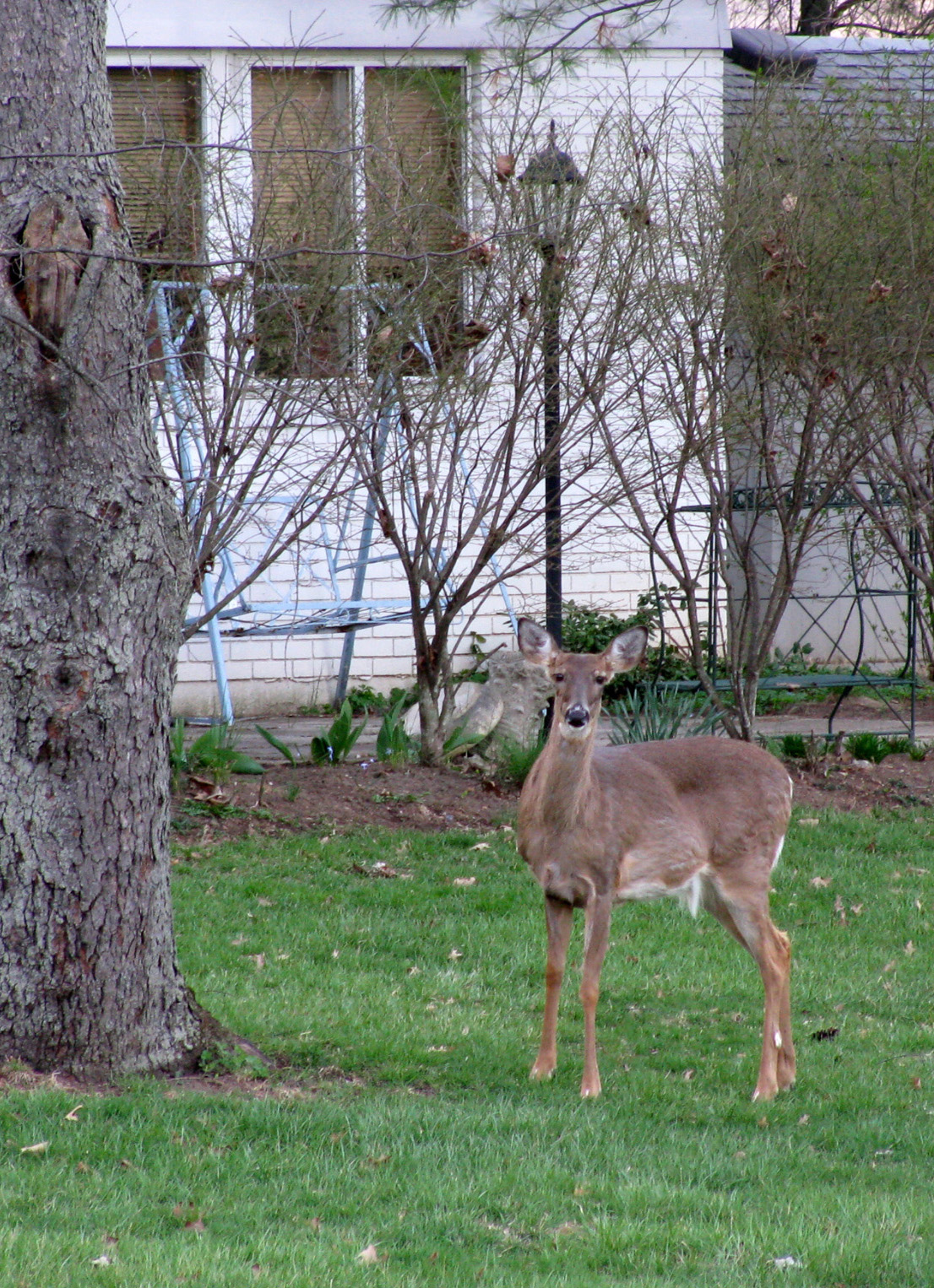 IMG_2376 crop resize 2