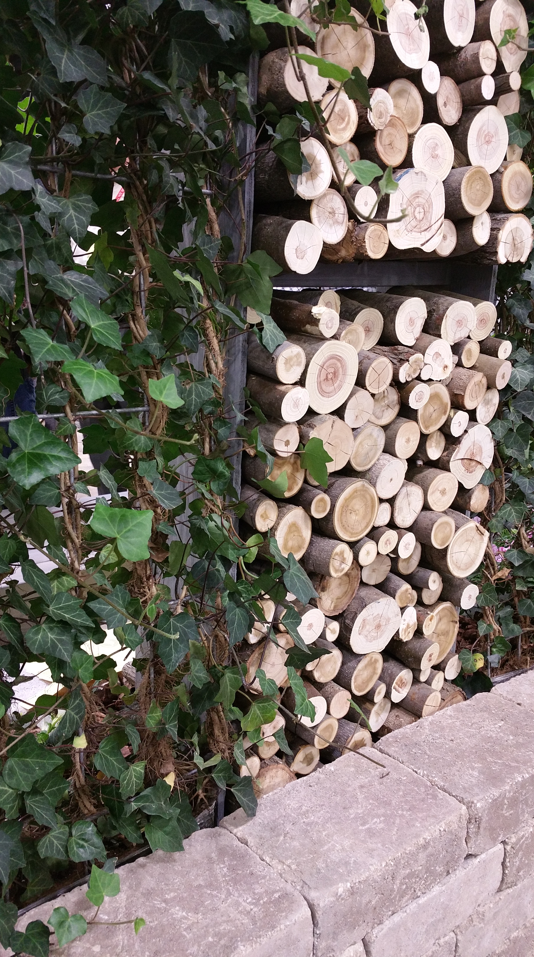 CENTS wall