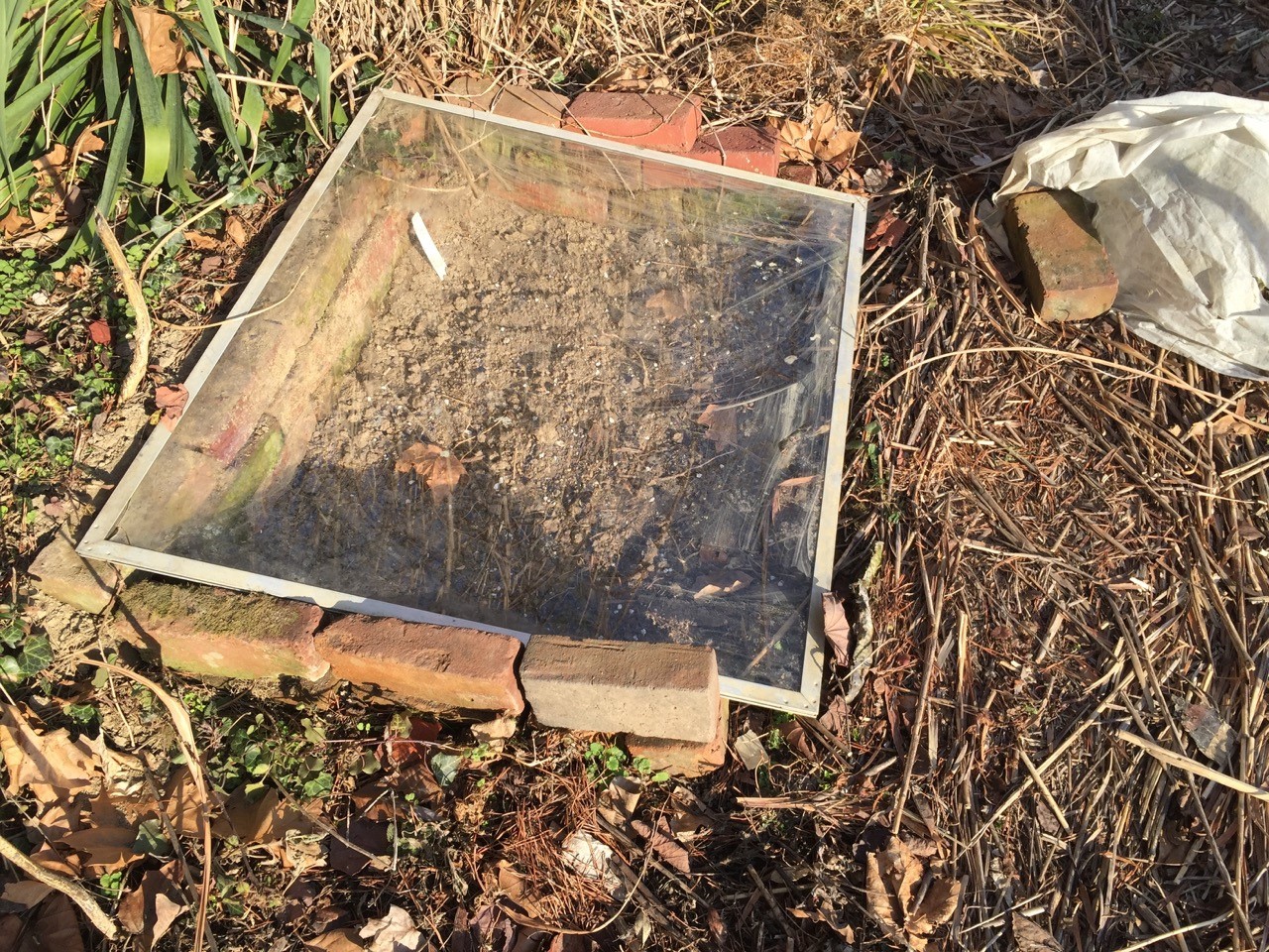 cold frame