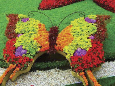 butterfly at Chicago flower show