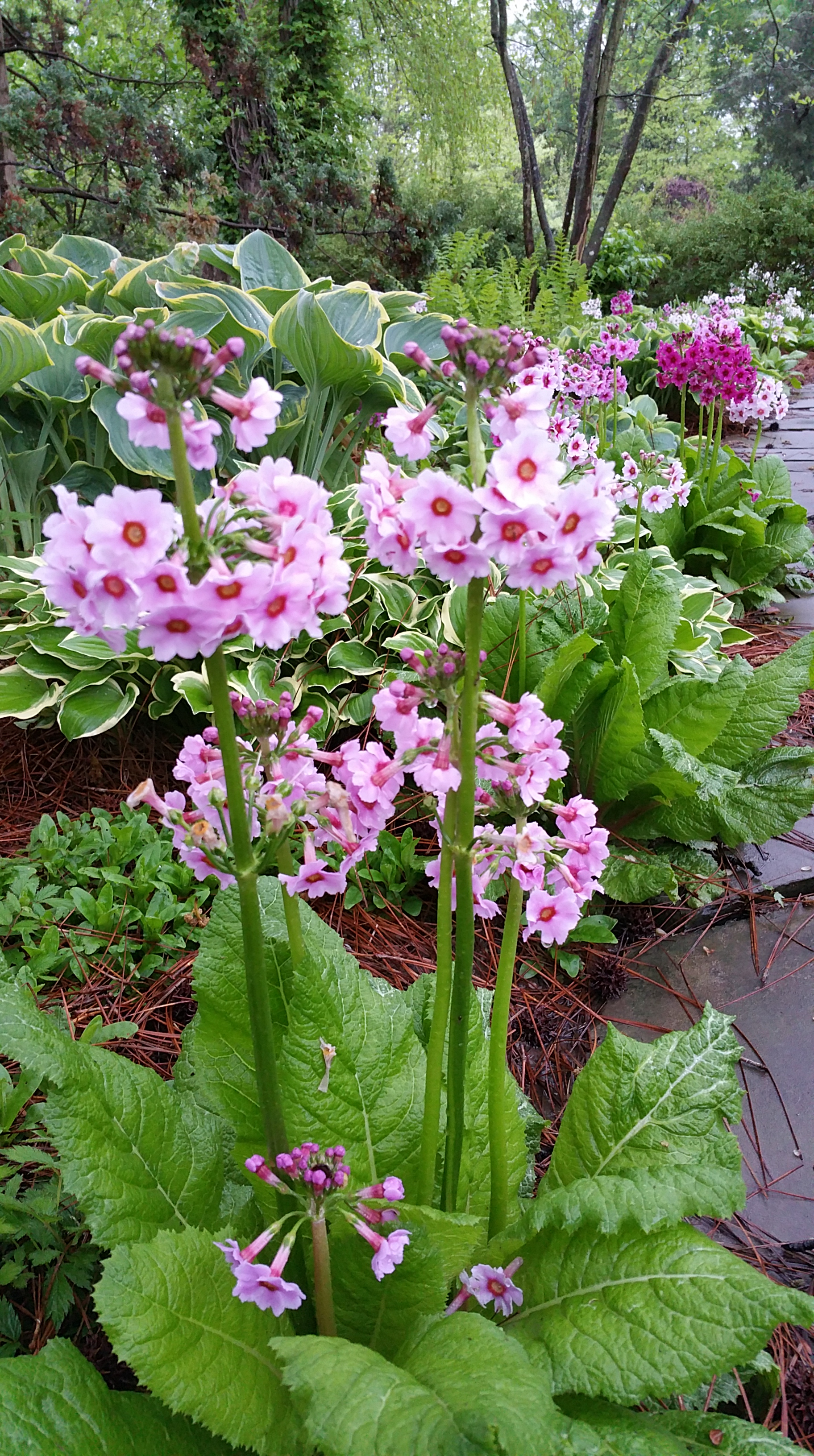 20160502_071646