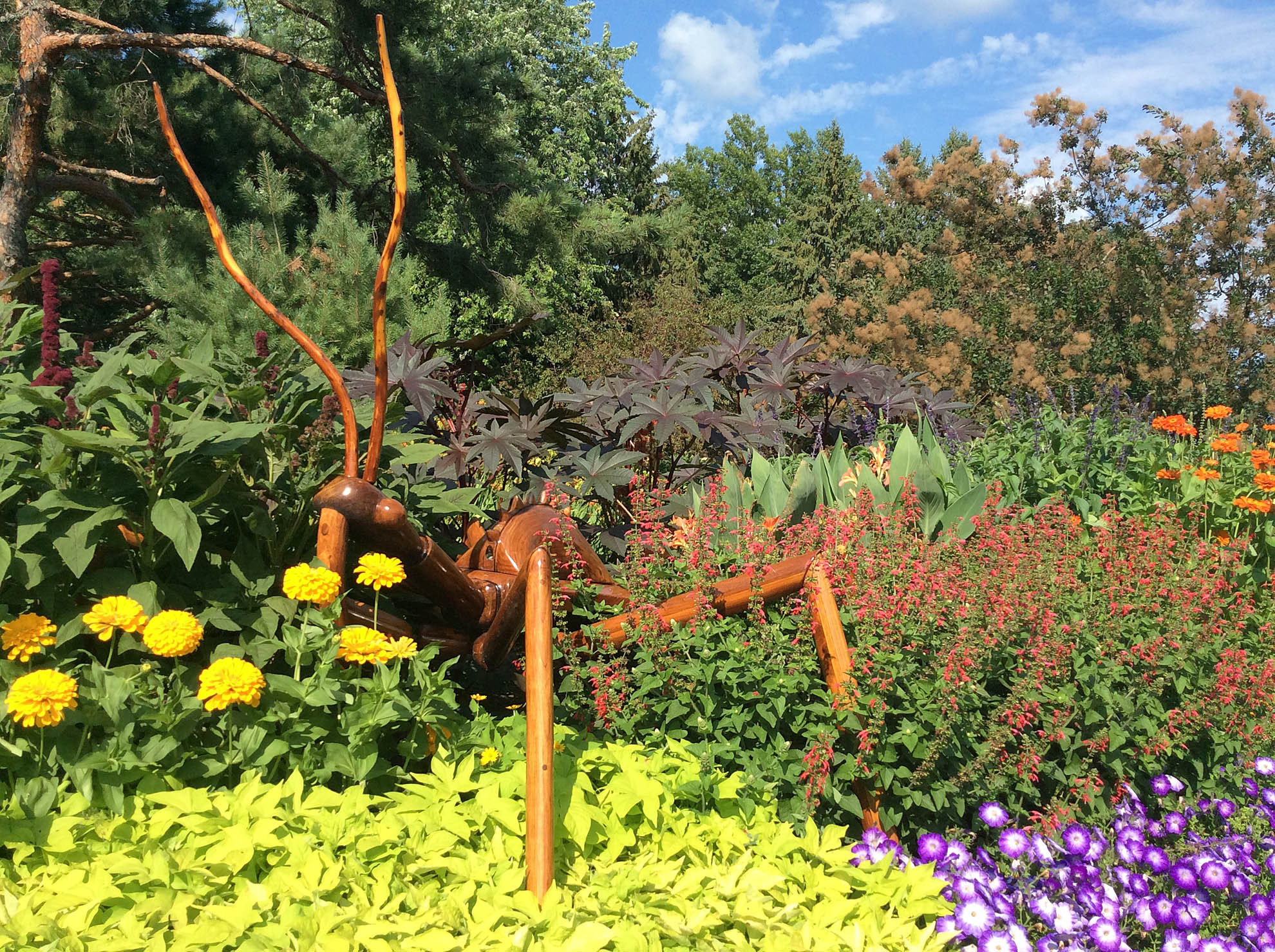 annual-garden-mn-landscape-arb-ppa-8-3-16