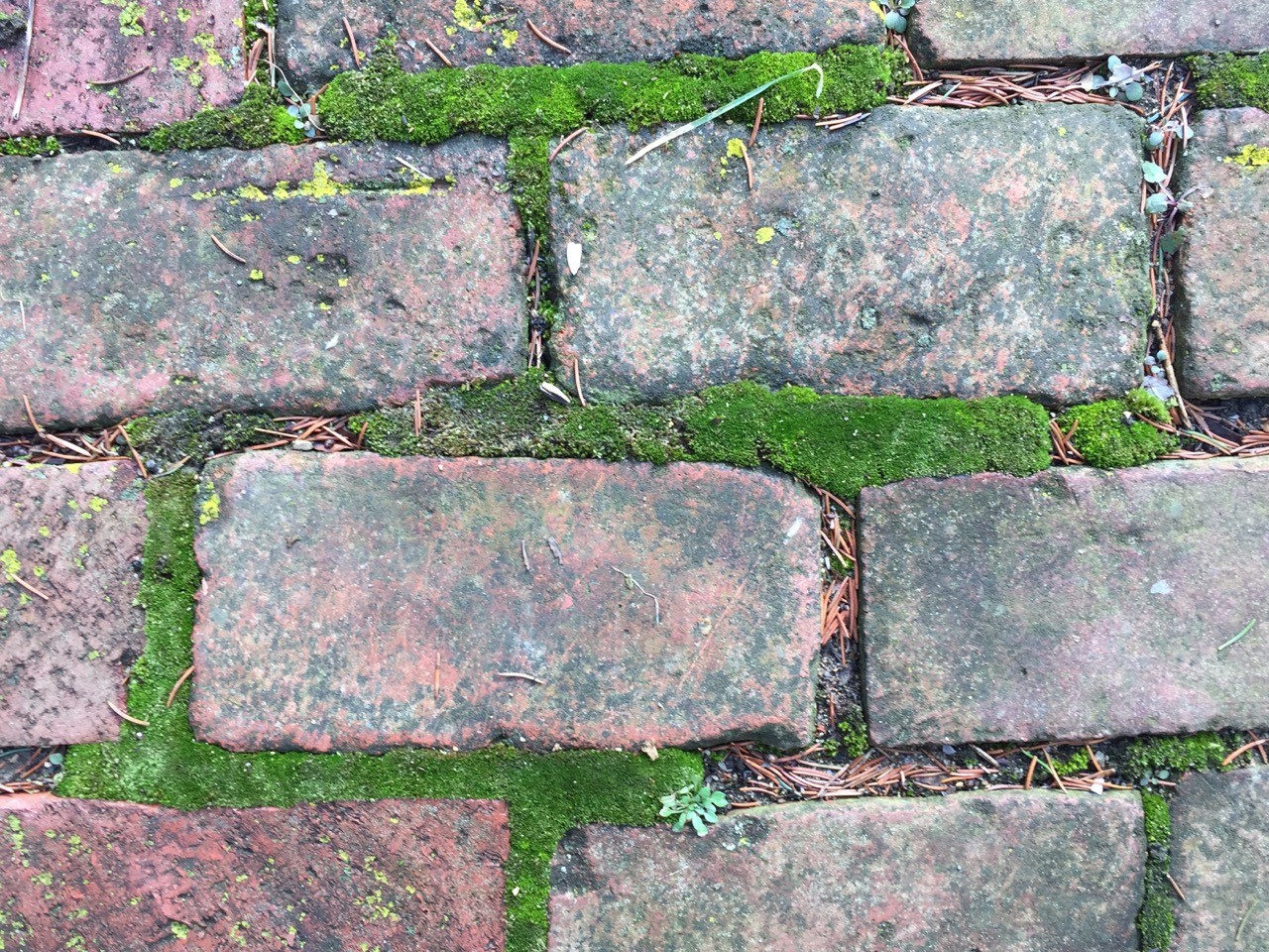 brick-pavement