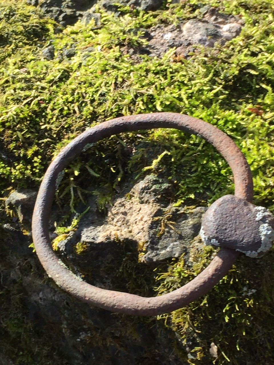 hitching-ring