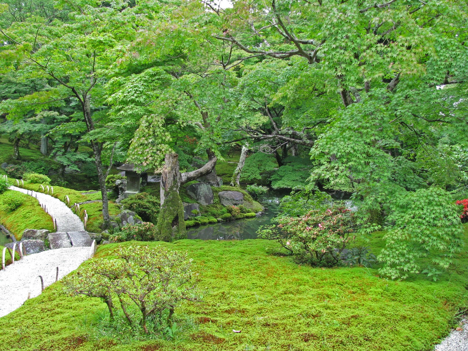 img_0924-shugakuin-moss-resize