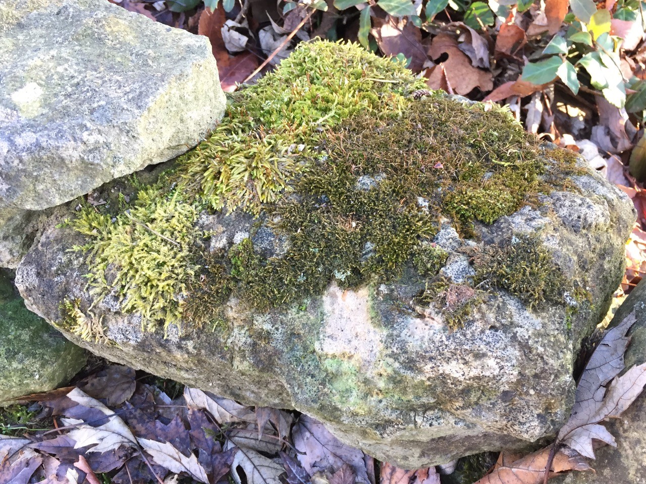 stones