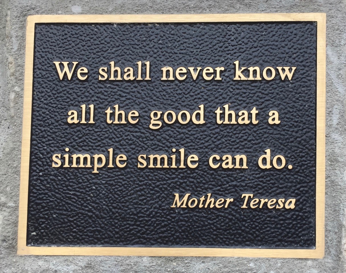 Rose garden M Teresa quote