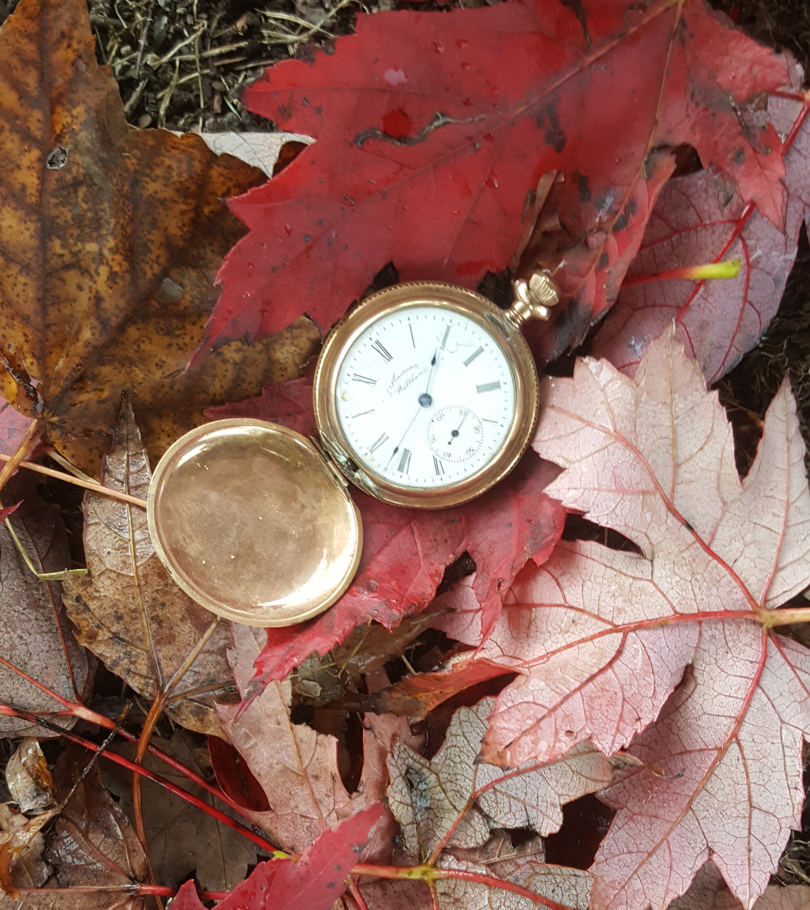 Pocketwatch
